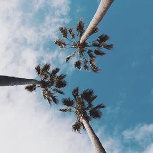 Meet your Posher, Faith